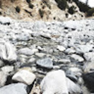 Meet your Posher, Priscilla